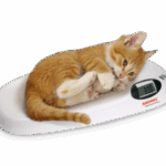 8310.01 Kleintierwaage "Home“