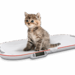 8320 Kleintierwaage "Easy" mit Klappfunktion