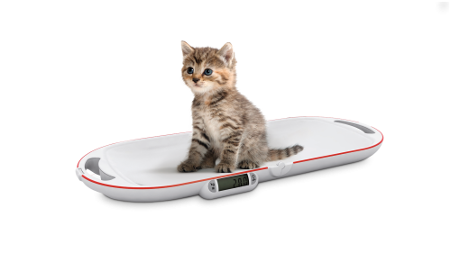 628 8320 Kleintierwaage "Easy" mit Klappfunktion – Bild 1