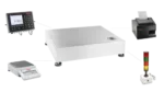 Counting scale system